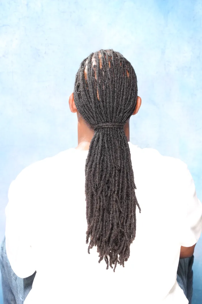 Long locs gathered into a low ponytail, back view